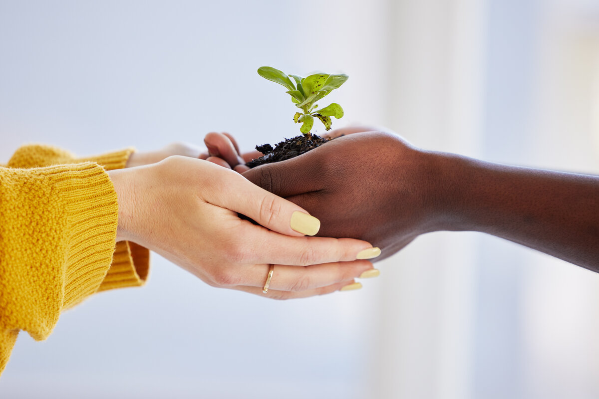 Hands protecting green plant - teamwork for environmental sustainability